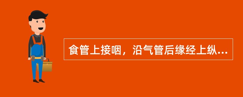 食管上接咽，沿气管后缘经上纵隔，过横膈的食管裂孔，止于胃的贲门，相当于（）水平