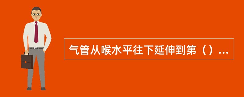 气管从喉水平往下延伸到第（）胸椎体水平形成隆突，分左、右支气管入肺