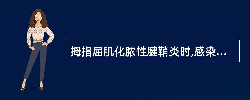 拇指屈肌化脓性腱鞘炎时,感染易扩散至