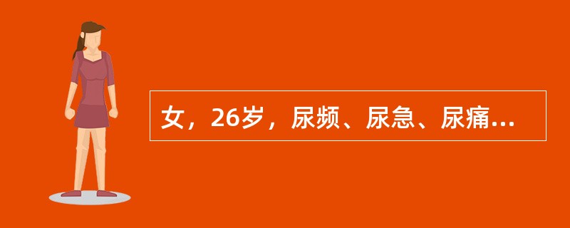 女，26岁，尿频、尿急、尿痛病史3个月，多种抗生素治疗不见好转，尿常规有许多红、白细胞，最近患者症状加重，伴有尿失禁出现。此患者临床诊断哪种可能性大()