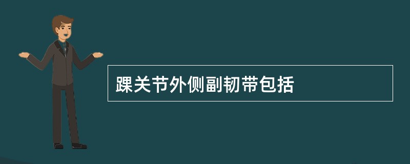 踝关节外侧副韧带包括