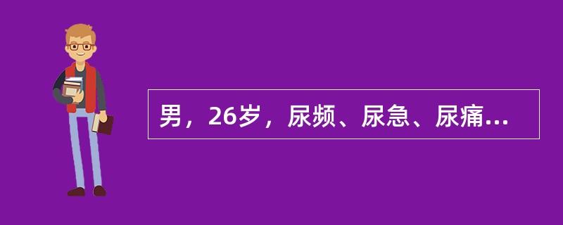 男，26岁，尿频、尿急、尿痛伴间歇性终末血尿3年，有时尿混浊，一般抗生素治疗无效。尿液检查：脓球40～55/HP，红细胞20～30/HP，蛋白(+)。最适宜的检查是()