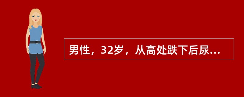 男性，32岁，从高处跌下后尿道口流血，不能自行排尿，收住院。体检：腹软，无压痛，脐下3cm可触及圆形肿物，叩诊浊音，骨盆拍片见右耻骨上下肢骨折。导尿管可插入20cm，流出鲜红血性液体，未见尿液。女性患