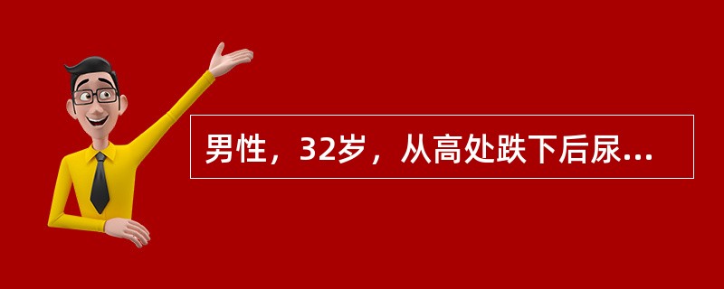 男性，32岁，从高处跌下后尿道口流血，不能自行排尿，收住院。体检：腹软，无压痛，脐下3cm可触及圆形肿物，叩诊浊音，骨盆拍片见右耻骨上下肢骨折。导尿管可插入20cm，流出鲜红血性液体，未见尿液。此例若