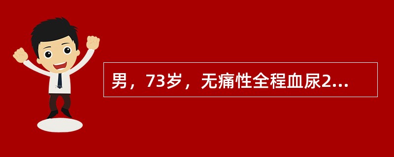 男，73岁，无痛性全程血尿2个月余，CT检查如图所示，下列说法正确的是()<img border="0" style="width: 178px; height: