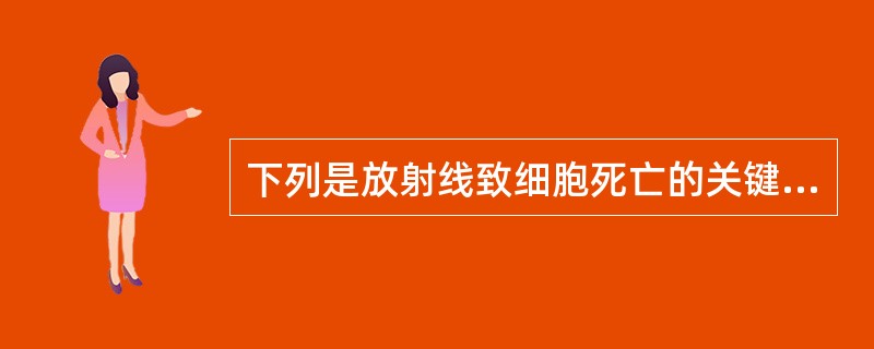 下列是放射线致细胞死亡的关键损伤为