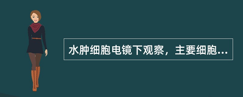 水肿细胞电镜下观察，主要细胞器的病变是