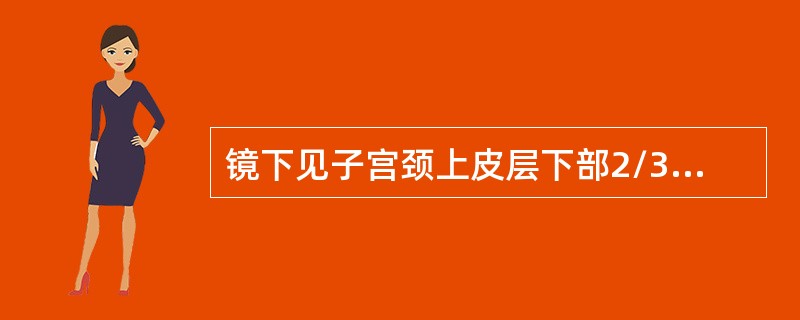 镜下见子宫颈上皮层下部2/3的细胞出现异型性增生，但未达到全层，诊断为