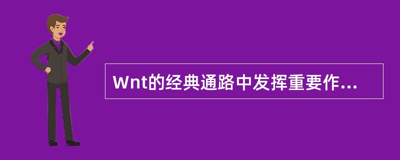 Wnt的经典通路中发挥重要作用的分子是()