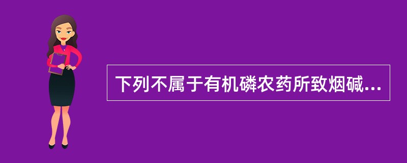 下列不属于有机磷农药所致烟碱样作用的临床表现是