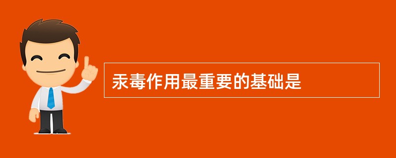 汞毒作用最重要的基础是
