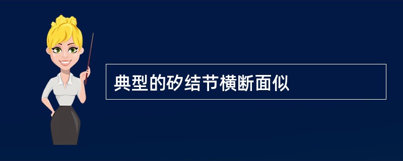 典型的矽结节横断面似