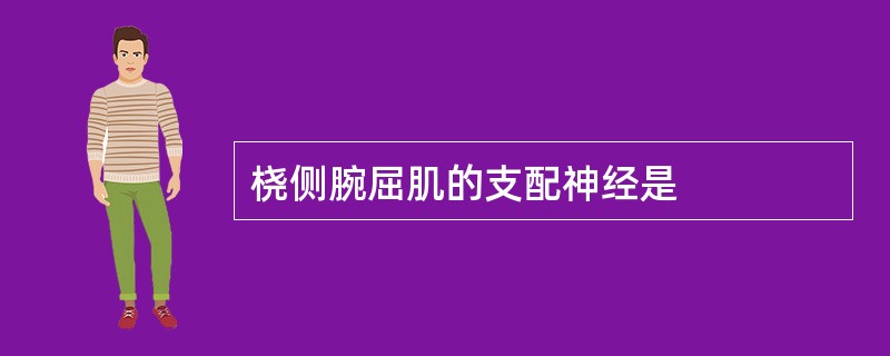 桡侧腕屈肌的支配神经是