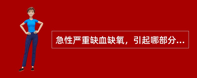 急性严重缺血缺氧，引起哪部分脑组织损伤 ( )
