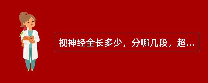 视神经全长多少，分哪几段，超声检测可显示哪几段（）