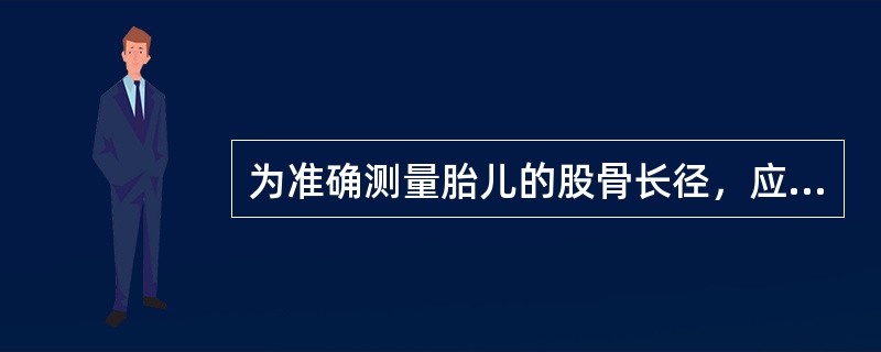 为准确测量胎儿的股骨长径，应注意使声束（）