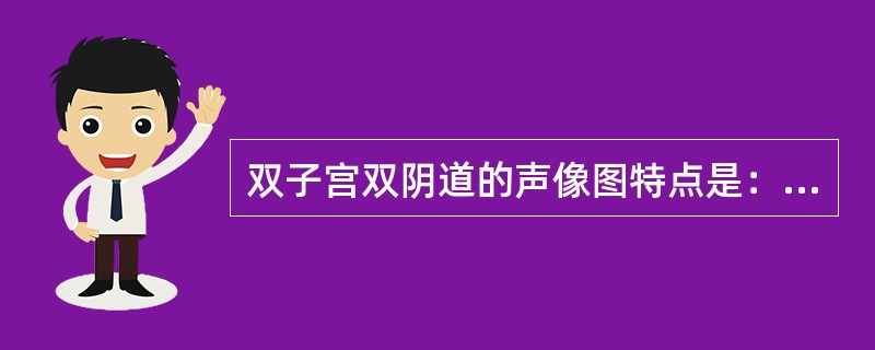 双子宫双阴道的声像图特点是：①纵切可见两个宫体，两个宫腔线，而宫颈及阴道只有一个②纵切可见两个子宫、宫颈、阴道回声③横切时子宫底呈蝶状，各有宫腔线回声④横切宫体呈平角形，宫腔线呈分叶状⑤宫颈较宽呈哑铃