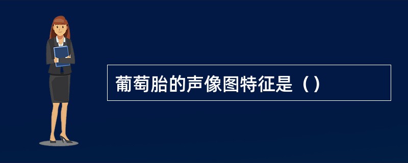 葡萄胎的声像图特征是（）