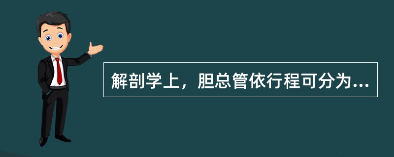 解剖学上，胆总管依行程可分为几段（）