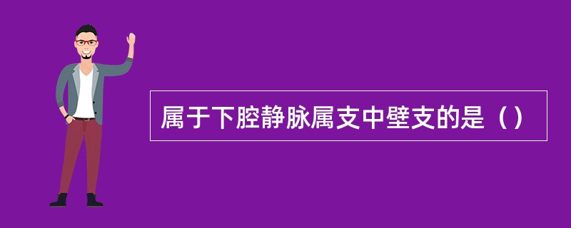 属于下腔静脉属支中壁支的是（）