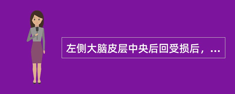 左侧大脑皮层中央后回受损后，躯体感觉障碍的部位是(　　)。