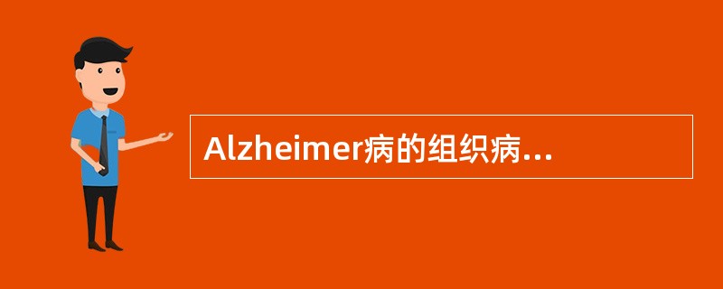 Alzheimer病的组织病理中不存在的结构是(　　)。