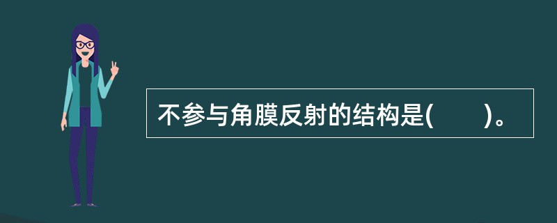 不参与角膜反射的结构是(　　)。