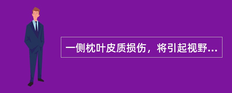 一侧枕叶皮质损伤，将引起视野(　　)。