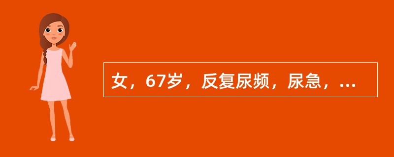 女，67岁，反复尿频，尿急，尿痛伴低热3年，BP130／75mmHg，尿常规：红细胞每高倍视野6～10个。白细胞20～30个，尿培养菌落10万个/毫升，最可能诊断为