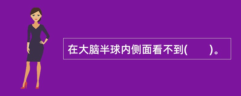 在大脑半球内侧面看不到(　　)。