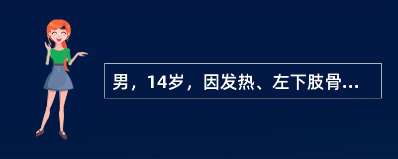 男，14岁，因发热、左下肢骨痛1周就诊，查体：肝、脾、全身表浅淋巴结均肿大，白细胞110×10<img border="0" style="width: 10px;