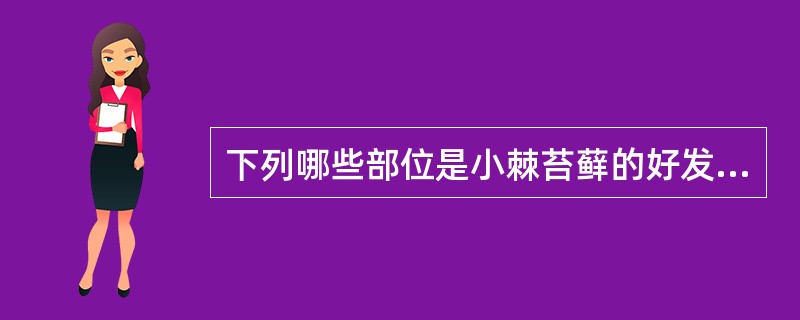 下列哪些部位是小棘苔藓的好发部位