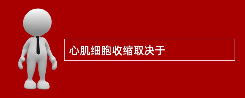 心肌细胞收缩取决于