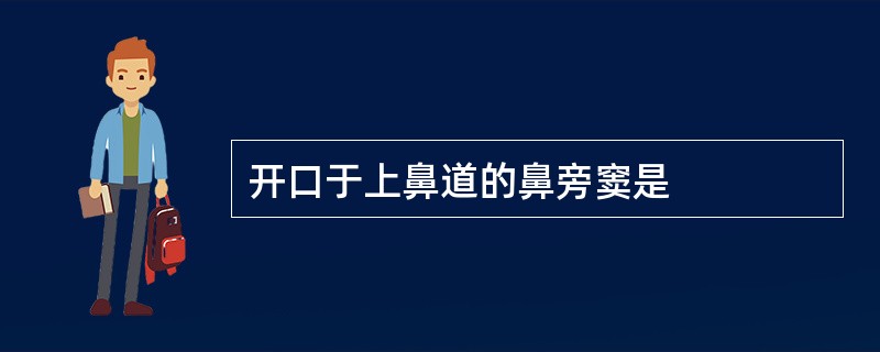 开口于上鼻道的鼻旁窦是
