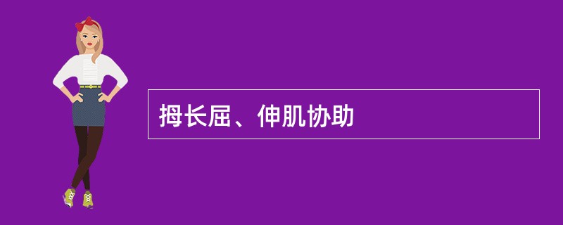 拇长屈、伸肌协助