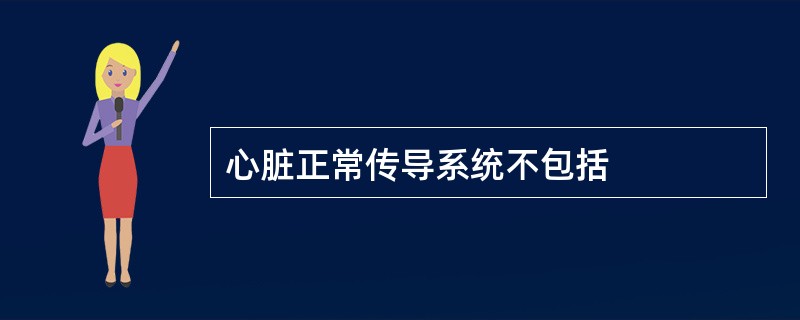 心脏正常传导系统不包括