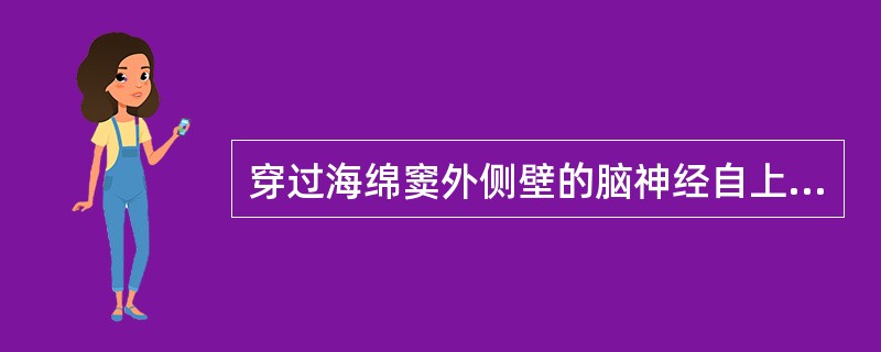 穿过海绵窦外侧壁的脑神经自上而下依次是
