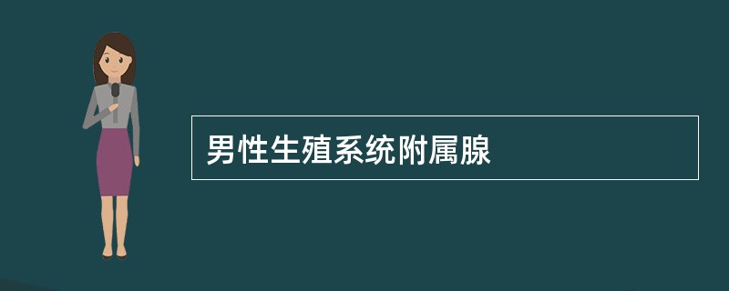 男性生殖系统附属腺