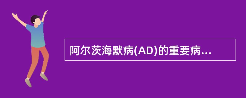 阿尔茨海默病(AD)的重要病理改变是