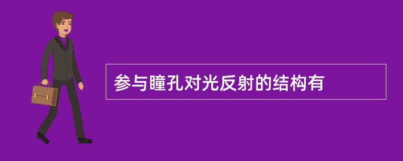 参与瞳孔对光反射的结构有