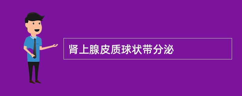 肾上腺皮质球状带分泌