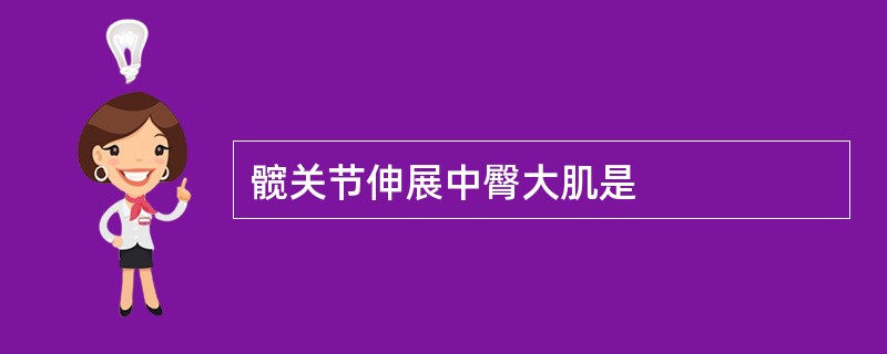 髋关节伸展中臀大肌是