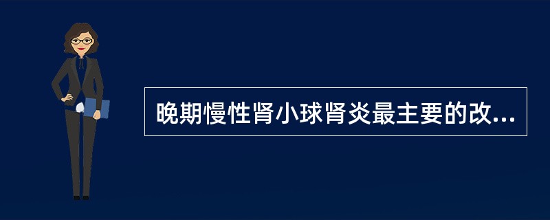 晚期慢性肾小球肾炎最主要的改变是（）