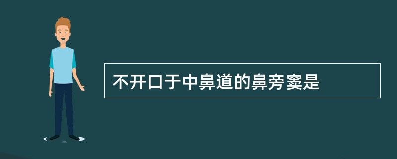 不开口于中鼻道的鼻旁窦是