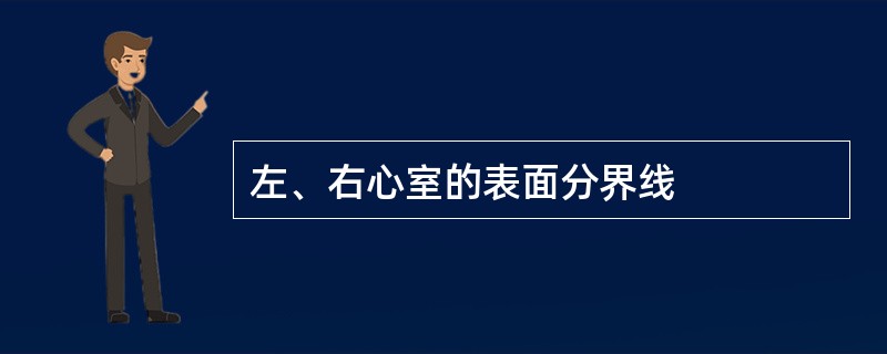 左、右心室的表面分界线