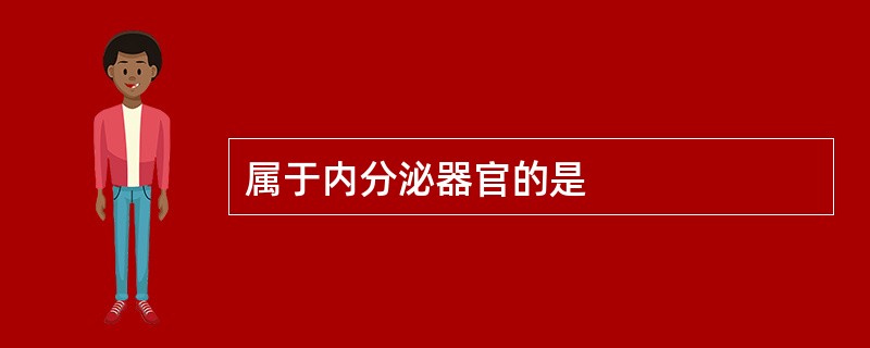 属于内分泌器官的是