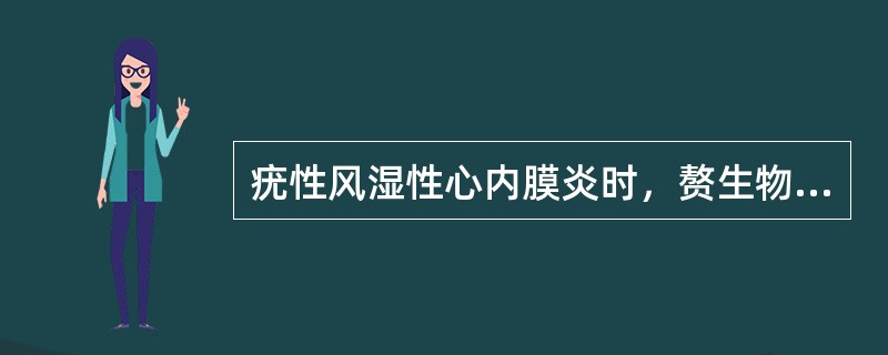 疣性风湿性心内膜炎时，赘生物常见部位是（）