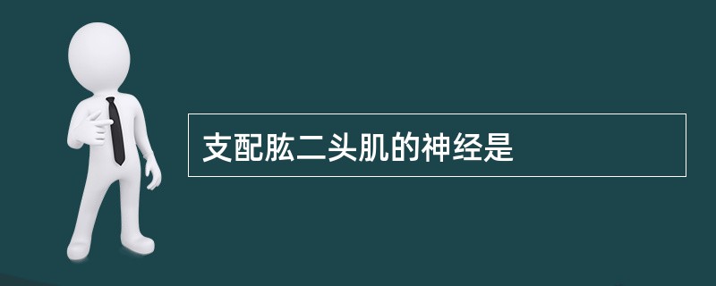 支配肱二头肌的神经是