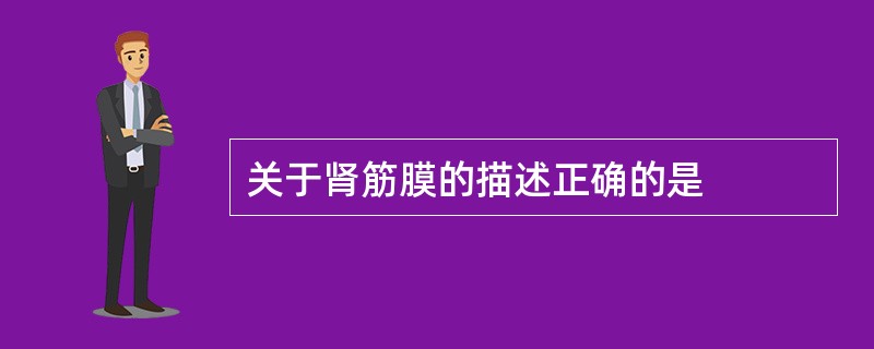 关于肾筋膜的描述正确的是