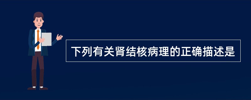 下列有关肾结核病理的正确描述是